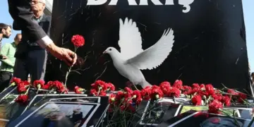 Ê ke qirkerdişê Garî de cuya xo ra bîyî ameyê vîrardiş