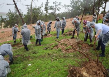 Baranê darên ji bo Rêberê Gelê Kurd hatine danîn av da