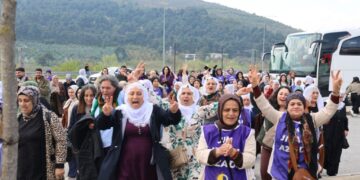 Aktîvîstê TJA’yî resayê Gemlîk