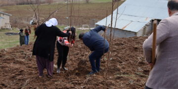 Li Westanê bo 4ê Nîsanê 77 şitil hatin danîn