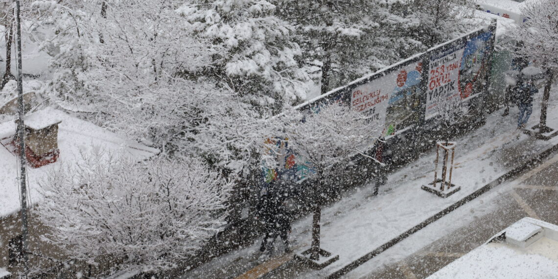 Li Wanê berfa Nîsanê: Kulîlkên daran ji sermayê dişewitin