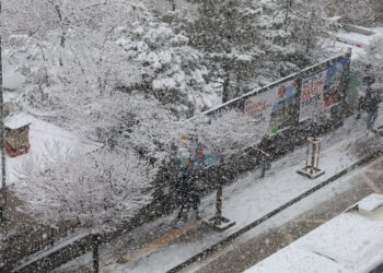 Li Wanê berfa Nîsanê: Kulîlkên daran ji sermayê dişewitin