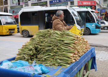 Ribêsan li ser dezgahan cihê xwe girt: Dermanê nexweşiyan e