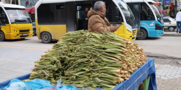 Ribêsan li ser dezgahan cihê xwe girt: Dermanê nexweşiyan e
