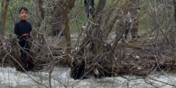 Gedeyo 8 serre çem de vindî bi