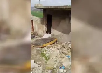 Li Efrînê şopên talan û dagirkeriyê