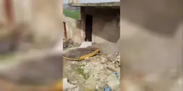 Li Efrînê şopên talan û dagirkeriyê