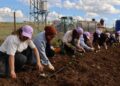 Li Cizîrê bîstanê komuna jinan û li Kerboranê Mala Tendûrê hat vekirin