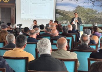 Dêrsim de ‘Roza Şaye’ ser Panel ame viraştene: Roza Şaye hona ke est a