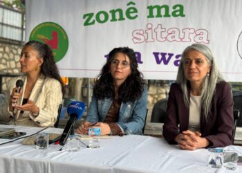 Dêrsim de panelê ziwanî: Kam zonê xo şîyede verdano?
