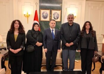 Wezîrê Dadê Gurlek: Em ê telefona Rojîn bişînin Çînê