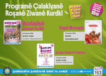 Roşanê Ziwanê Kurdkî do bi çalakîyanê cîyayan bêro pîrozkerdene