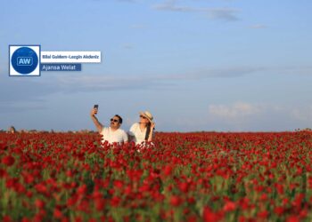 Navçeya Girê Sor bû deryaya kulîlkên sor