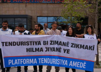 ‘Heqê weşîye yê bi ziwanê dayîke heqêko neteweyî yo’