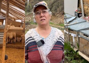 Sevîm Eroglu: Bêrê dewanê xo, bêrê bonanê xo vîrazê