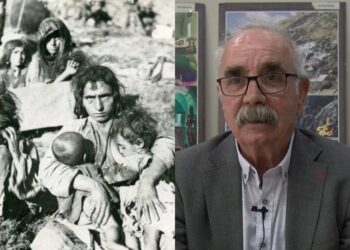 Musa Kulu: Heta Qerarê 4ê Gulane Anayasa de nêro betalkerdiş, aştî kî nîna