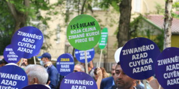 Saziyên ziman gel vexwendin Deklerasyona 15ê Gulanê