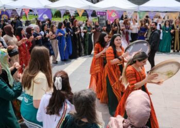 Amed de Têhetameyîşê Kede, Kultur û Hunerî yê Cinîyan dest pêkerd