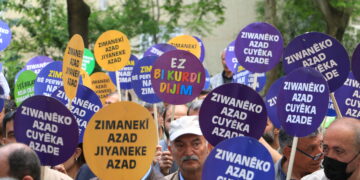 ‘Statûya ziman bi parastin û çalakbûnê tê bidestxistin’