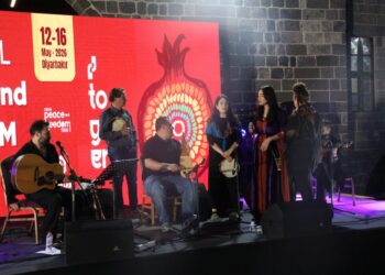 Dîyarbekîr de konserêko zafziwanî ame organîzekerdene