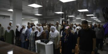 Cangorîyê aşma gulane ameyê vîr ardene