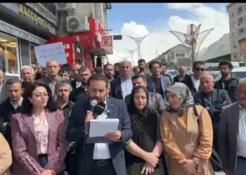 DEM Partiya Şemzînanê: Divê YSK îtîrazên hilbijartinê ji nû ve binirxîne