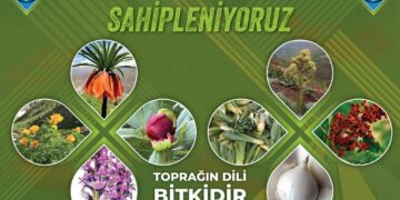 Dêrsim de vengdayîşê ‘Nobeta Xoza û Cuye’: Herra Munzurî cuye ya!