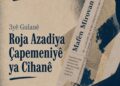 DFG: Azadiya çapemeniyê alarmê dide