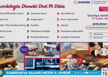 DÎSMEKê 15 kursên pîşeyî dide destpêkirin