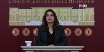 Gulistan Kiliç Koçyîgît: Pêdiviya aştiyê bi qanûnan heye