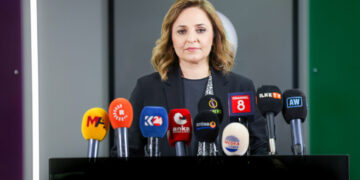 Ayşegul Dogan: Ma hetê demokrasî û huqûqî de ca gênê