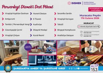 DÎSMEK de 15 kursê neweyî