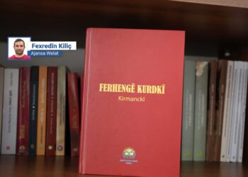 Enstîtuya Kurdî ya Amedê ferhengeke nû ya Kirmanckî weşand