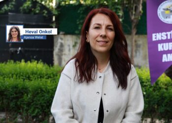 Suzan Vejan Tatli: Prosesî de ganî seba ziwanî zî gamî bêrî eştiş