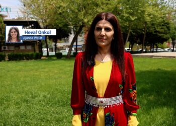 Stran Yaşar: Ziwan her çî ra ver gerek cuye de cayê xo bigîro