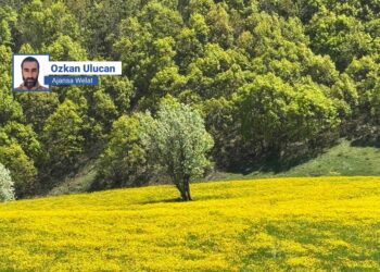 Dewijê Havaçorî: Koyanê xo de talan kerdene nêwazenême