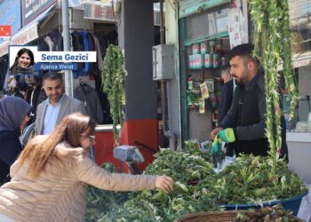‘Qîymetê pincaranê ma nêyeno zanayene’