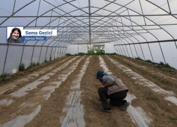Şaredariya Payîzava serayek vekir: Armanc xurtkirina aboriya jinan e