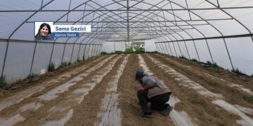 Şaredariya Payîzava serayek vekir: Armanc xurtkirina aboriya jinan e