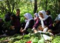 Li Westanê atolyeya ‘Giyayên Şifayê’ hat lidarxistin