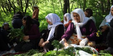 Li Westanê atolyeya ‘Giyayên Şifayê’ hat lidarxistin