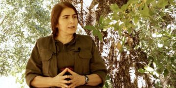 Çîgdem Dogu: Şer vinderto la têkoşînê ma dewam keno