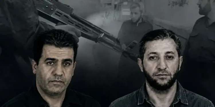 Ciwanên Niştimanperwer: Li Pawe 2 cerdevan hatin cezakirin