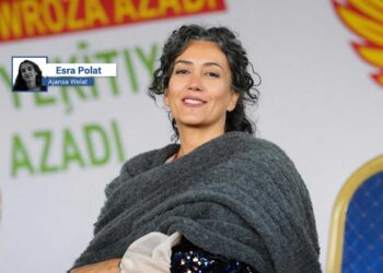 ‘Tirkiyeke demokratîk tenê bi demokrasiyeke xwecihî dikare were avakirin’