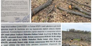 Dewa Çewlîgî Cafran de qetlê birrî dewam keno