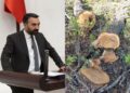 ‘Birnayişê birrê dewa Cafranî ganî her het ra bêro cipersayene’