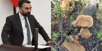 ‘Birnayişê birrê dewa Cafranî ganî her het ra bêro cipersayene’