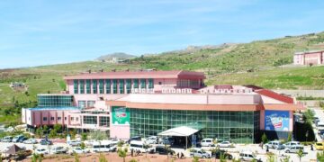 Li Şirnex jinek di mala xwe de mirî hat dîtin
