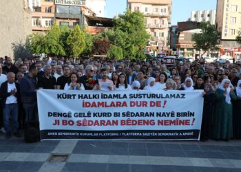 Platforma Saziyên Demokratîk: Darvekirinên li dijî gelê Kurd demildest rawestînin