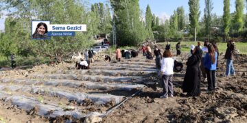 Piştî 10 salan careke din Bostanên Komîn ên Jinan tên avakirin